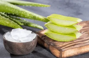 aloe vera per purificare aria