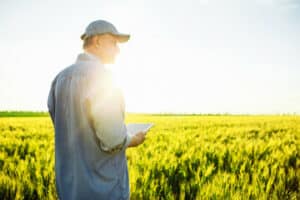  agronomo senior