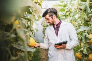 laurea in agronomia