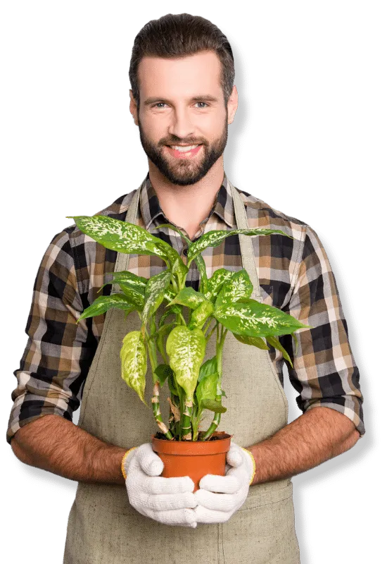 progetto giardinaggio