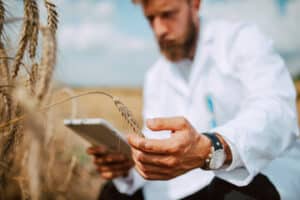 quanto guadagna un agronomo