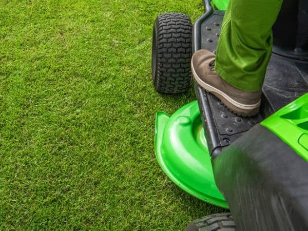 Gardena Ruote Di Ricambio Per Forbici Per Erba A Batteria Gardena Ruote Di Ricambio Per Forbici Per Erba A Batteria
